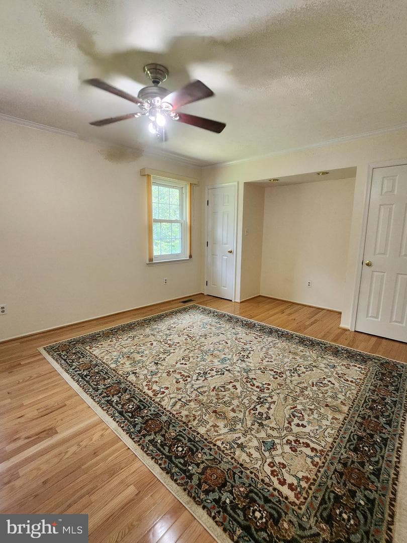 7812 Werowance Court photo 12