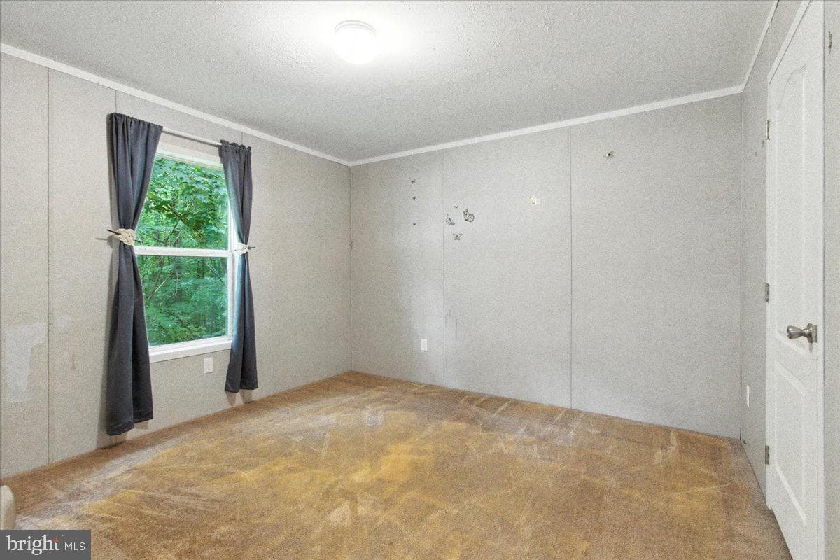 99 Mary Lou Drive photo 11
