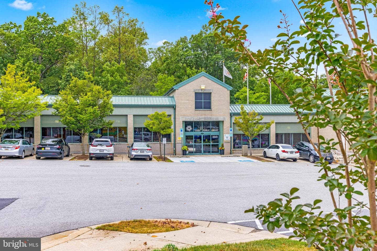3523 Piney Woods Place #g203 photo 40