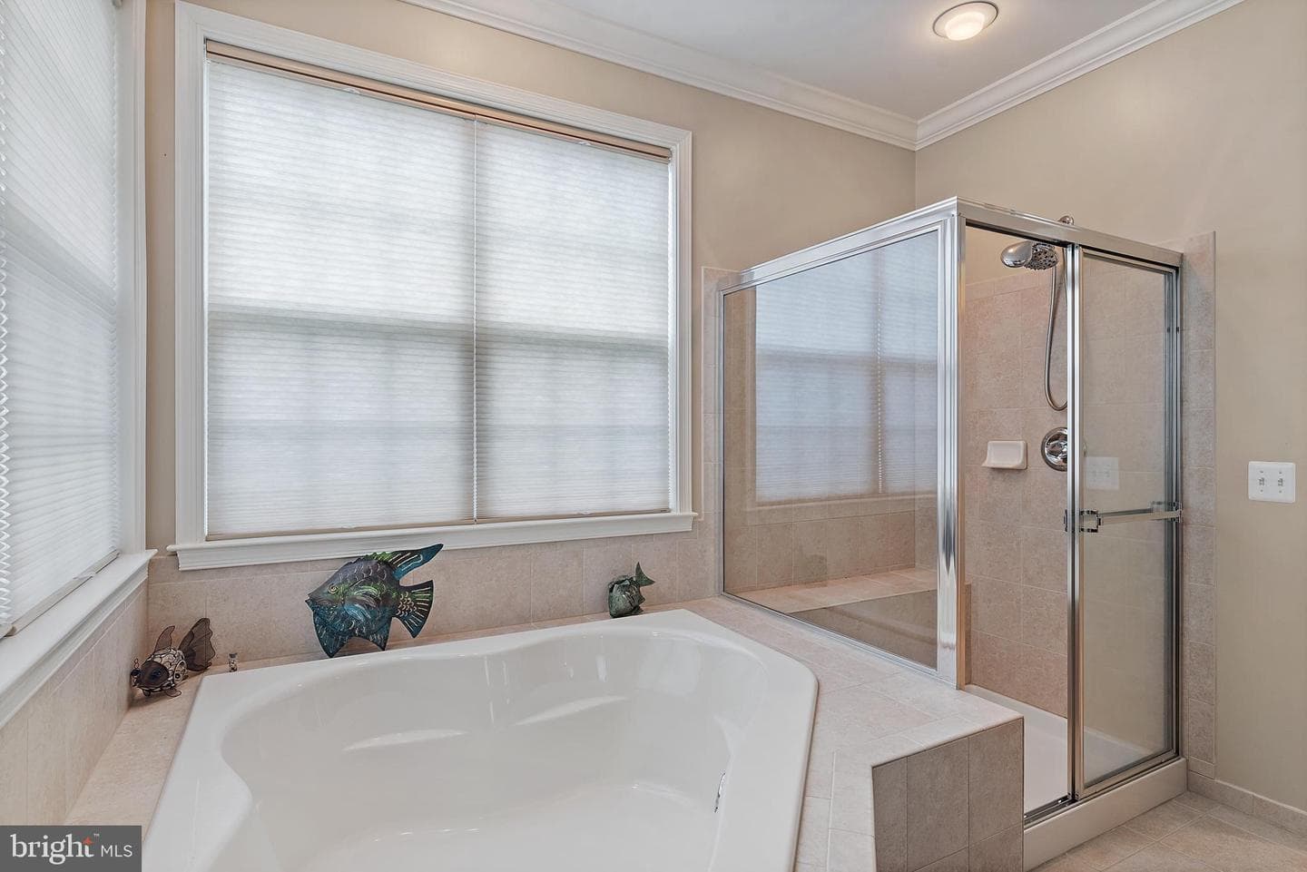 539 Donner Way photo 32