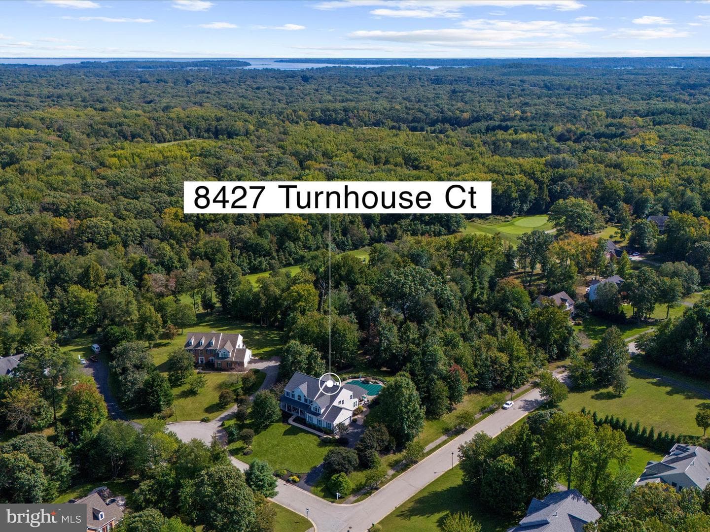 8427 Turnhouse Court photo 100
