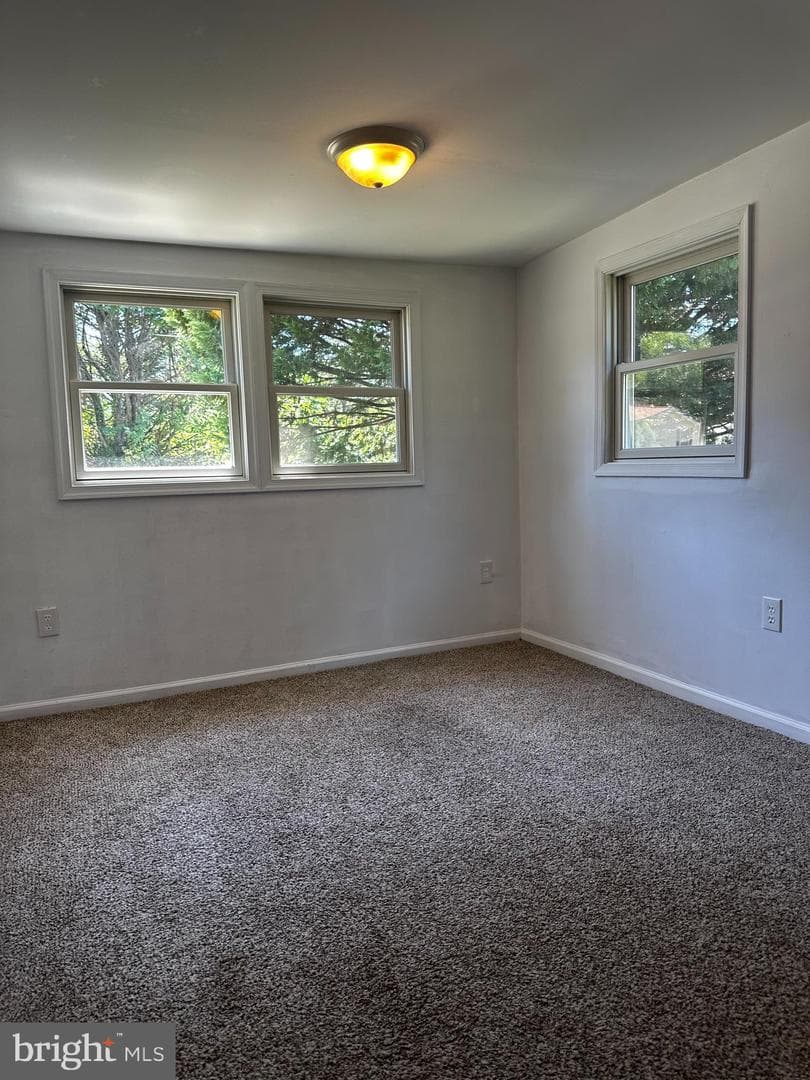 434 Salisbury Road photo 22