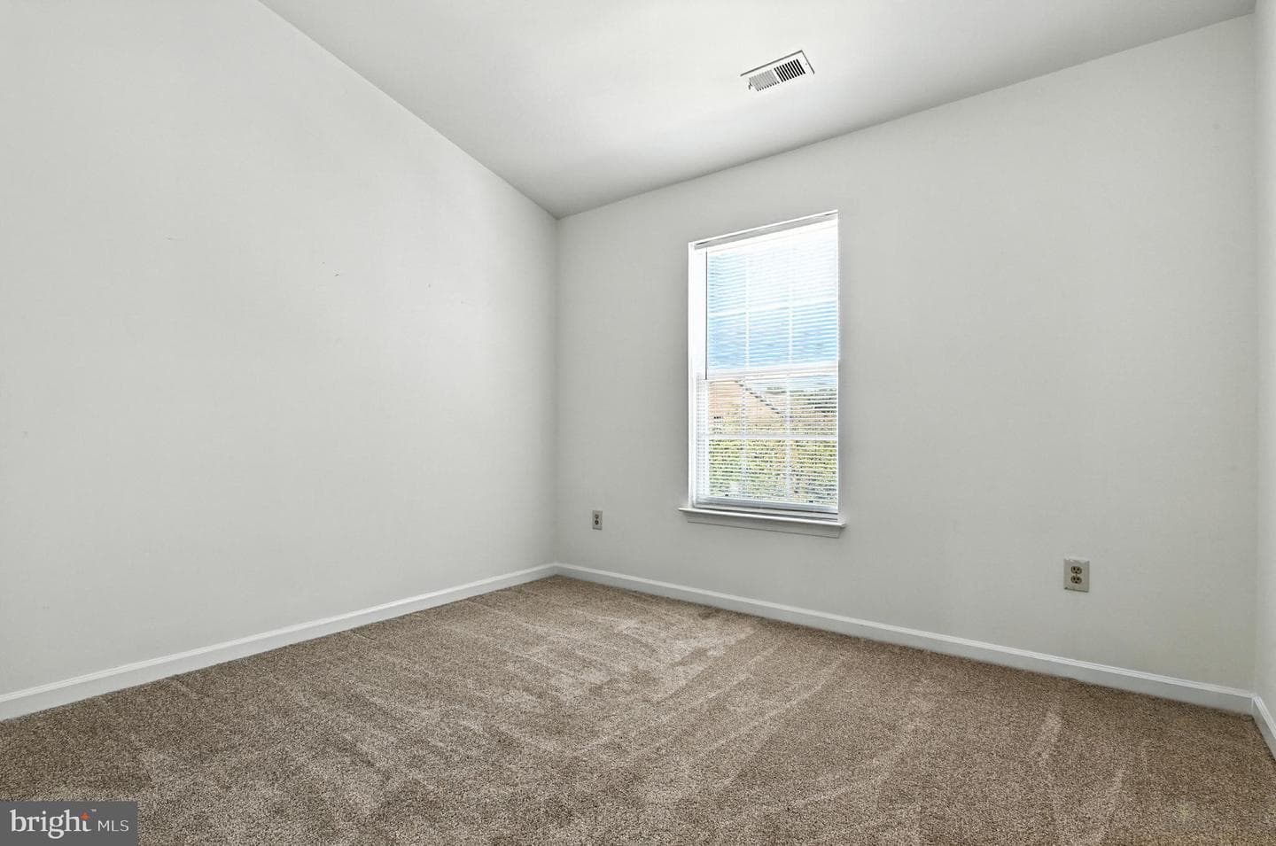 3855 Glebe Meadow Way photo 20