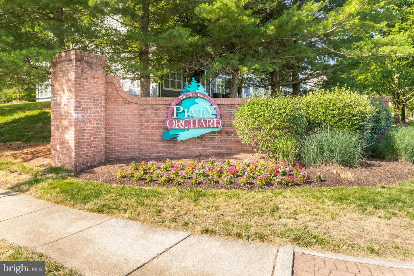 8600 Roaming Ridge Way #106 photo 51