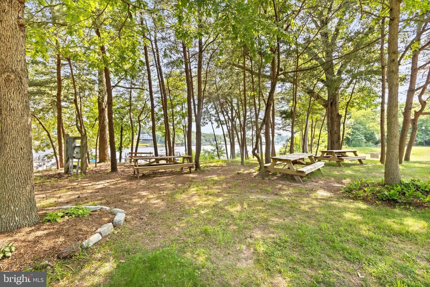 975 Chestnut Manor Court photo 42