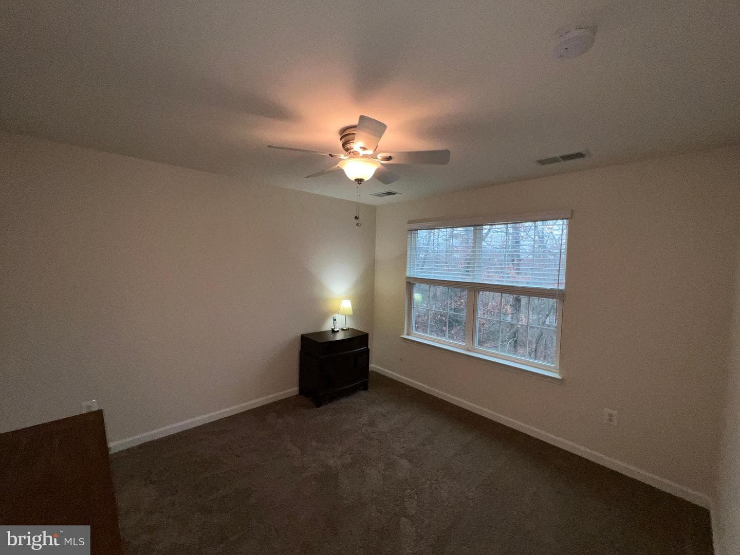 7817 Stonebriar Drive photo 83