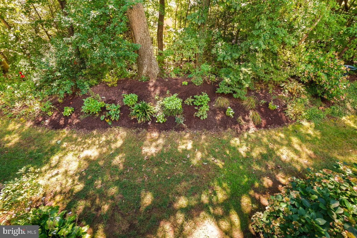 633 Andrew Hill Road photo 15