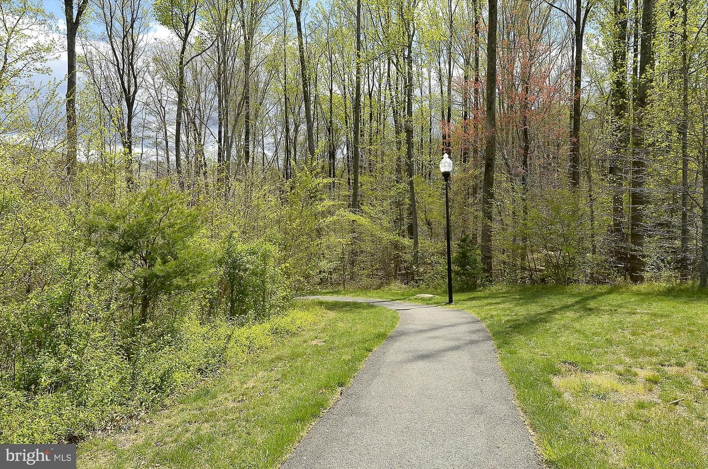 1511 Criterion Drive photo 35