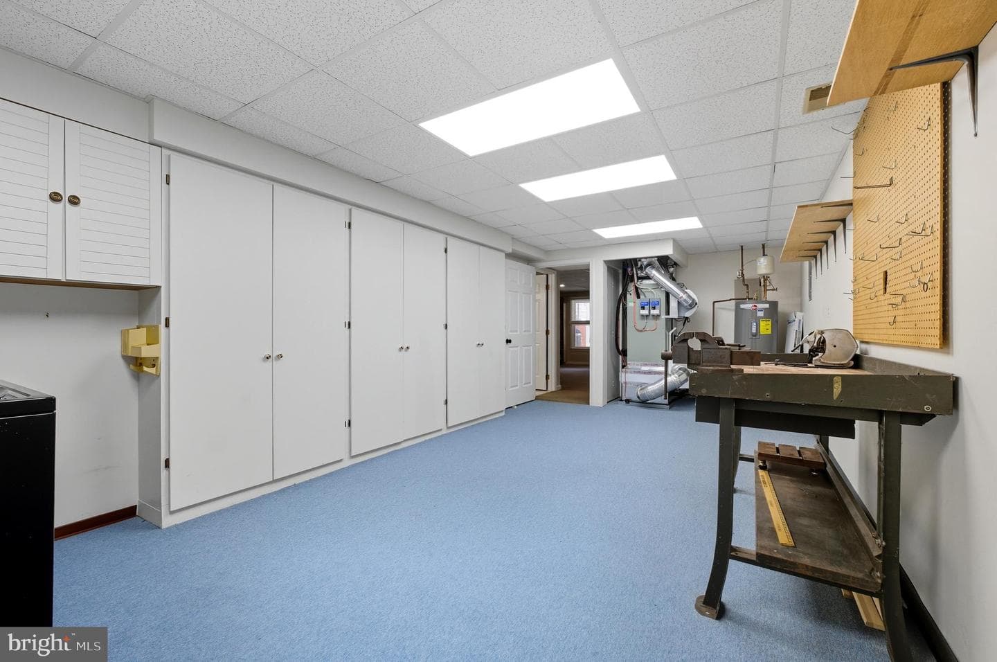 1007 Boom Court photo 44
