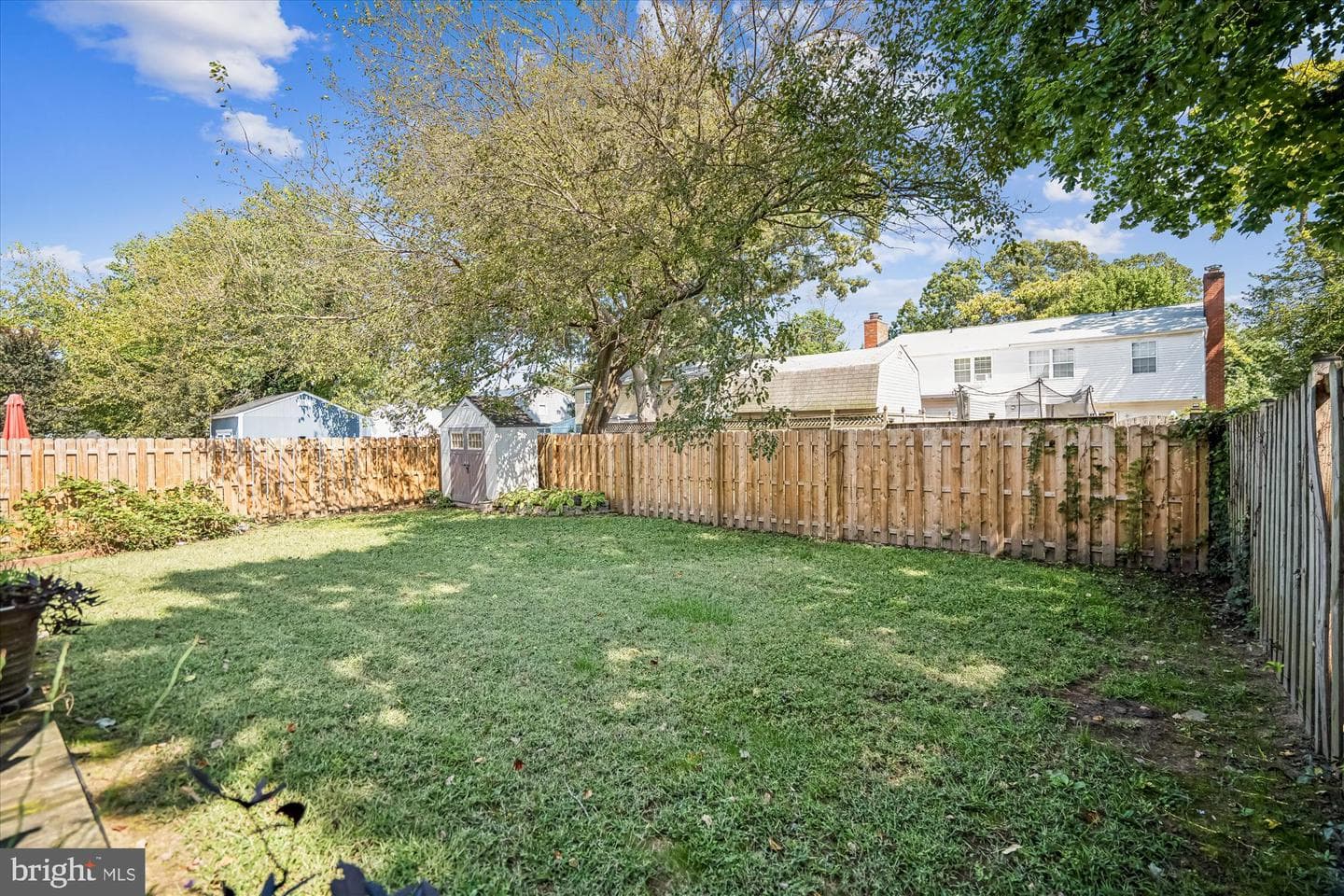 377 Volley Court photo 49