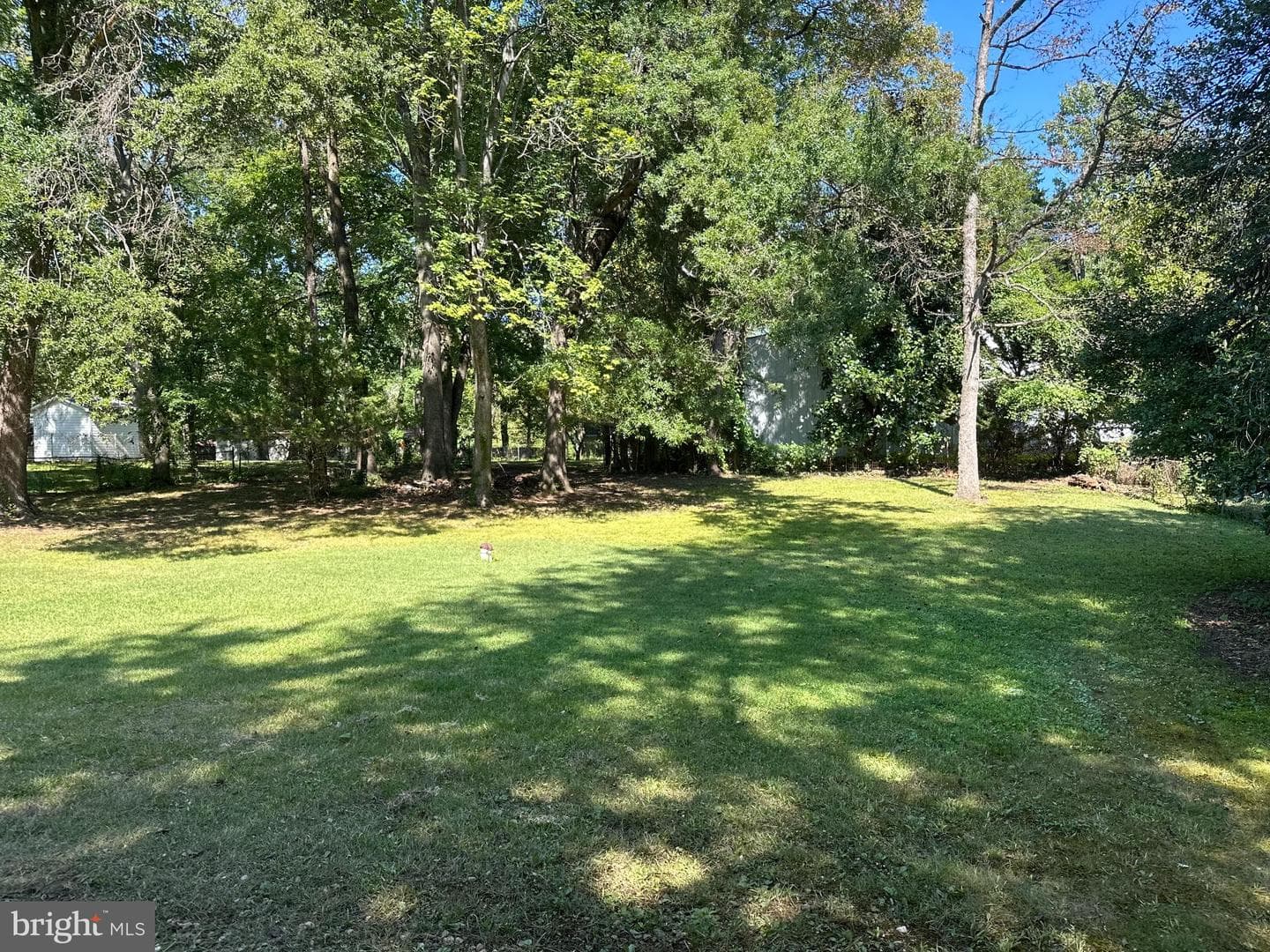 80 Beach Drive photo 5