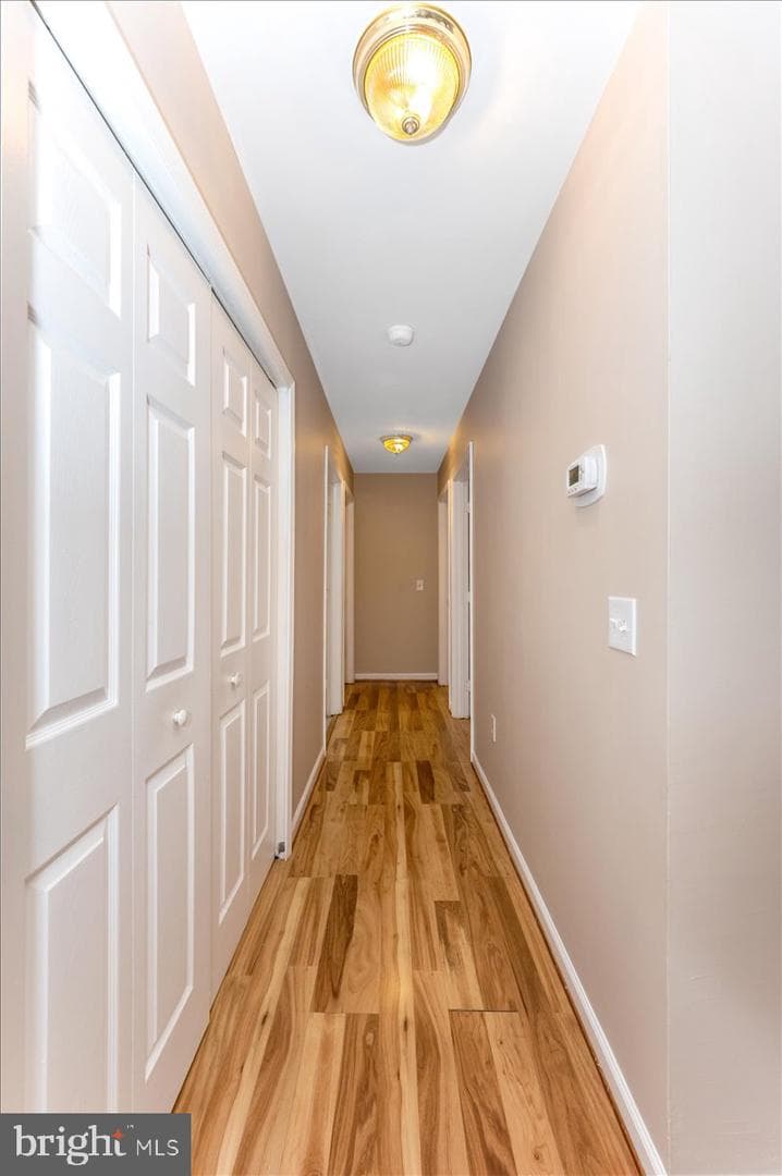 8109 Beverly Road photo 12