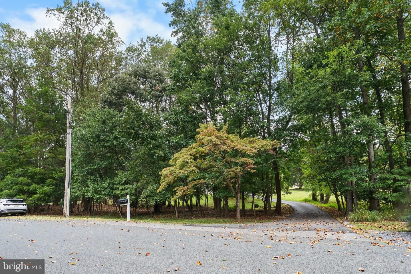 1433 Gilbert Road photo 46