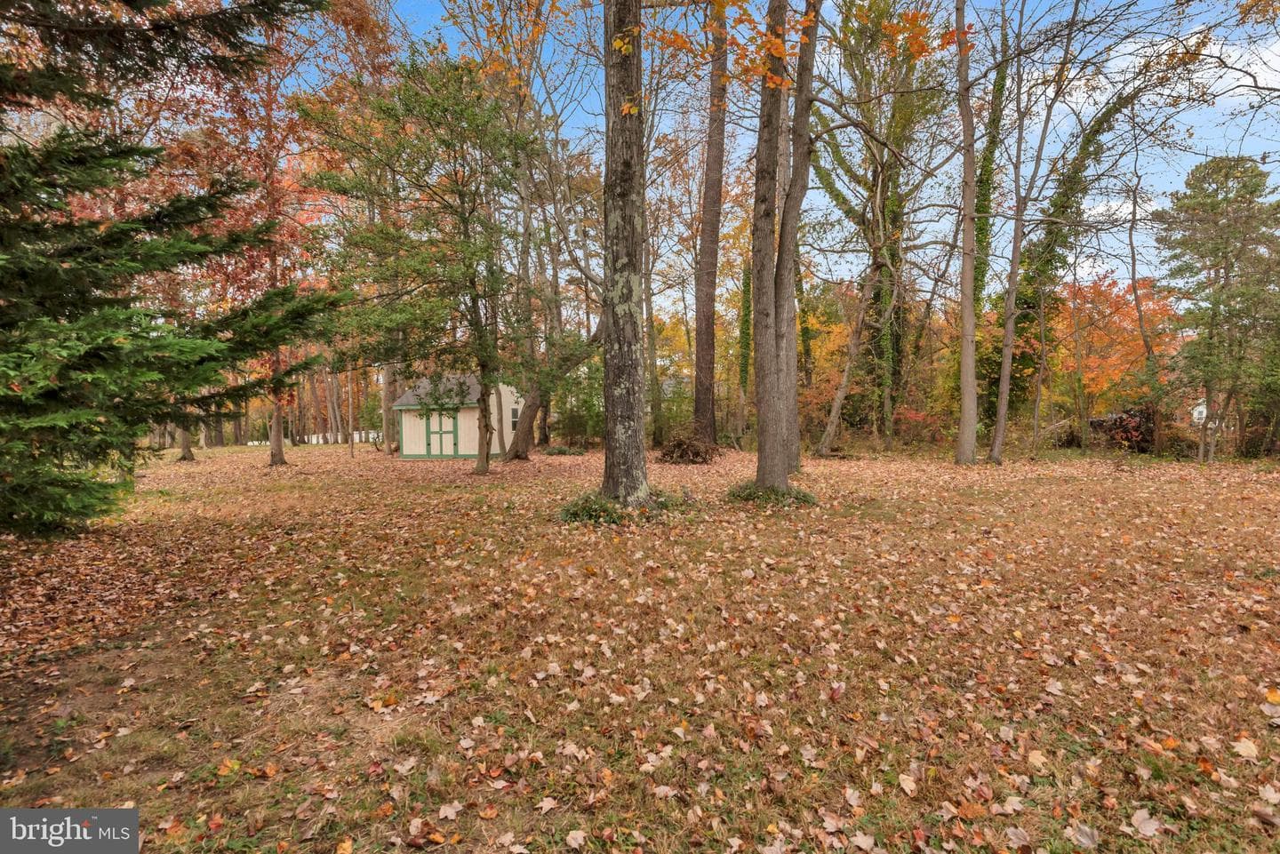 7991 Pauls Drive photo 36