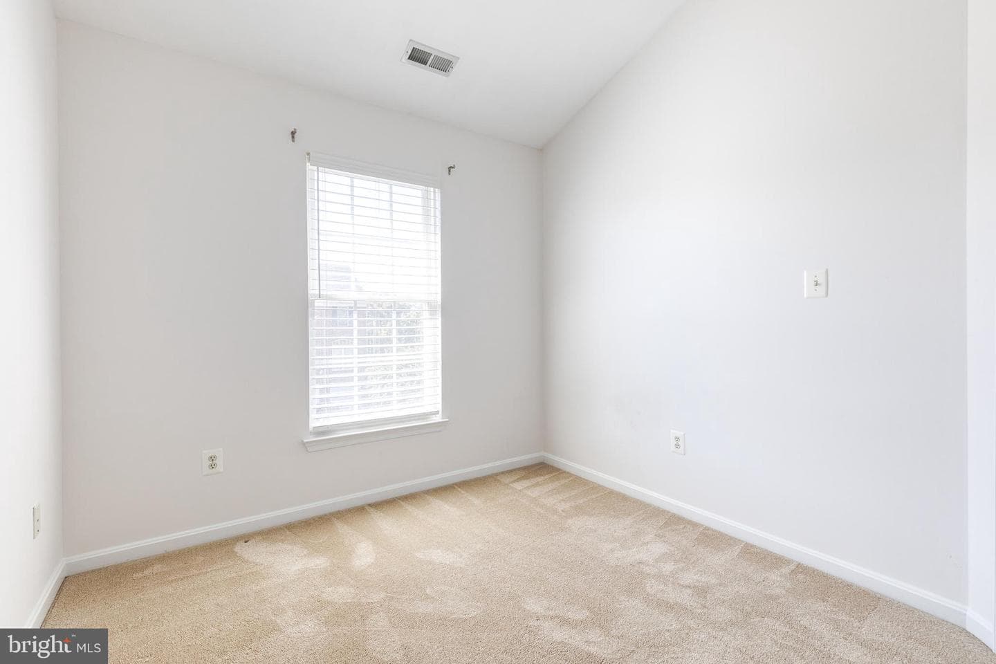 1217 Birchleaf Court photo 21
