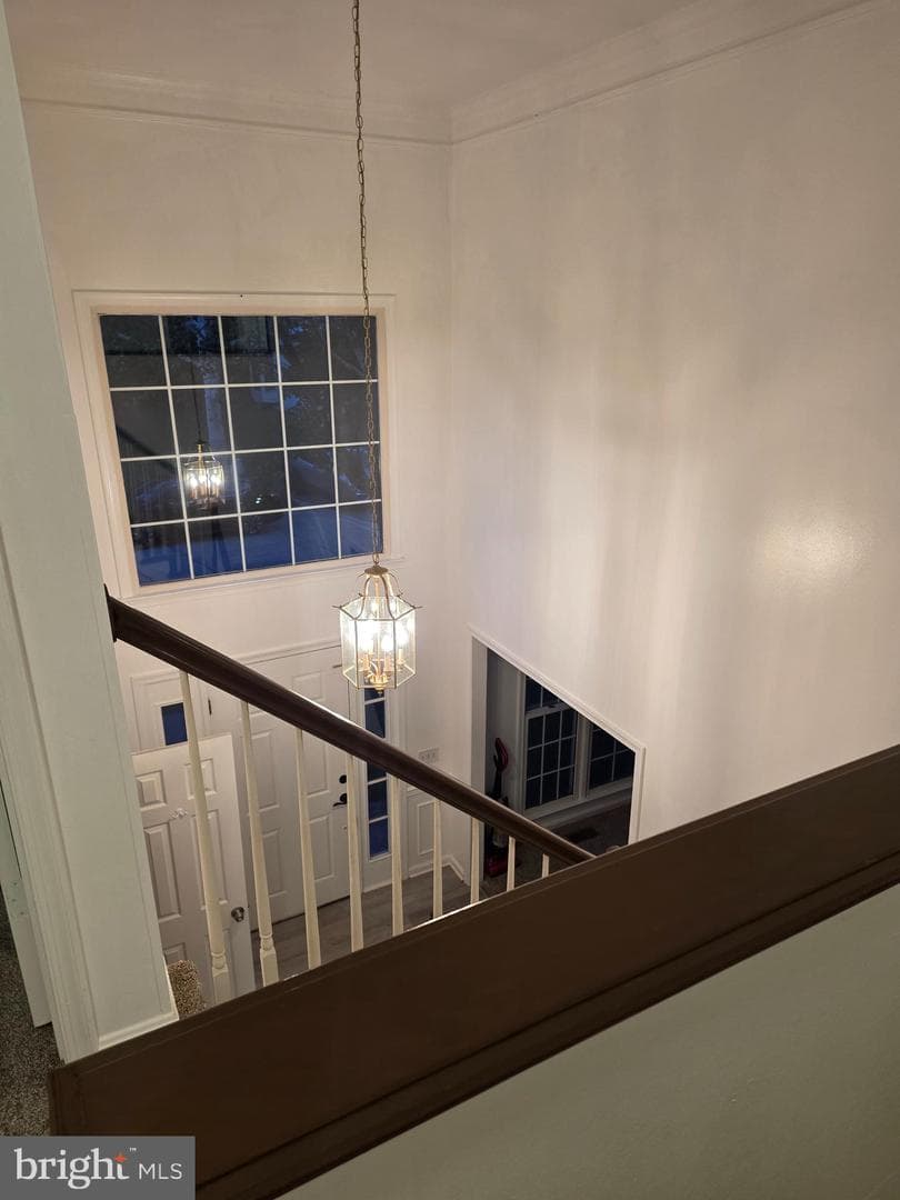 3551 Forest Haven Drive photo 25