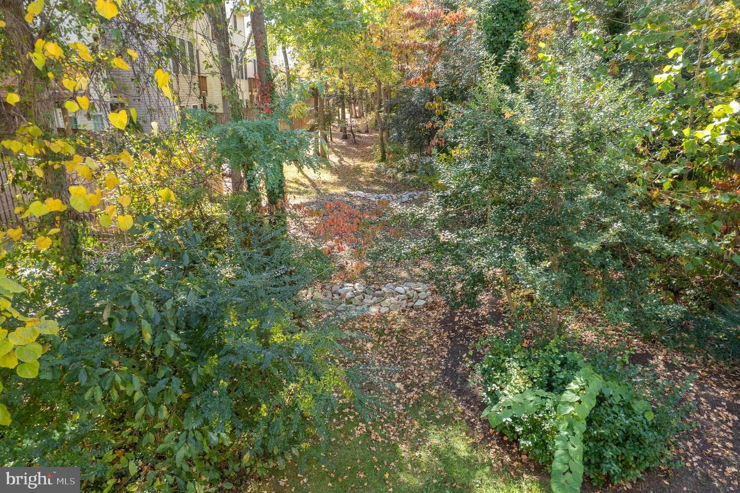 249 Tilden Way #249 photo 49