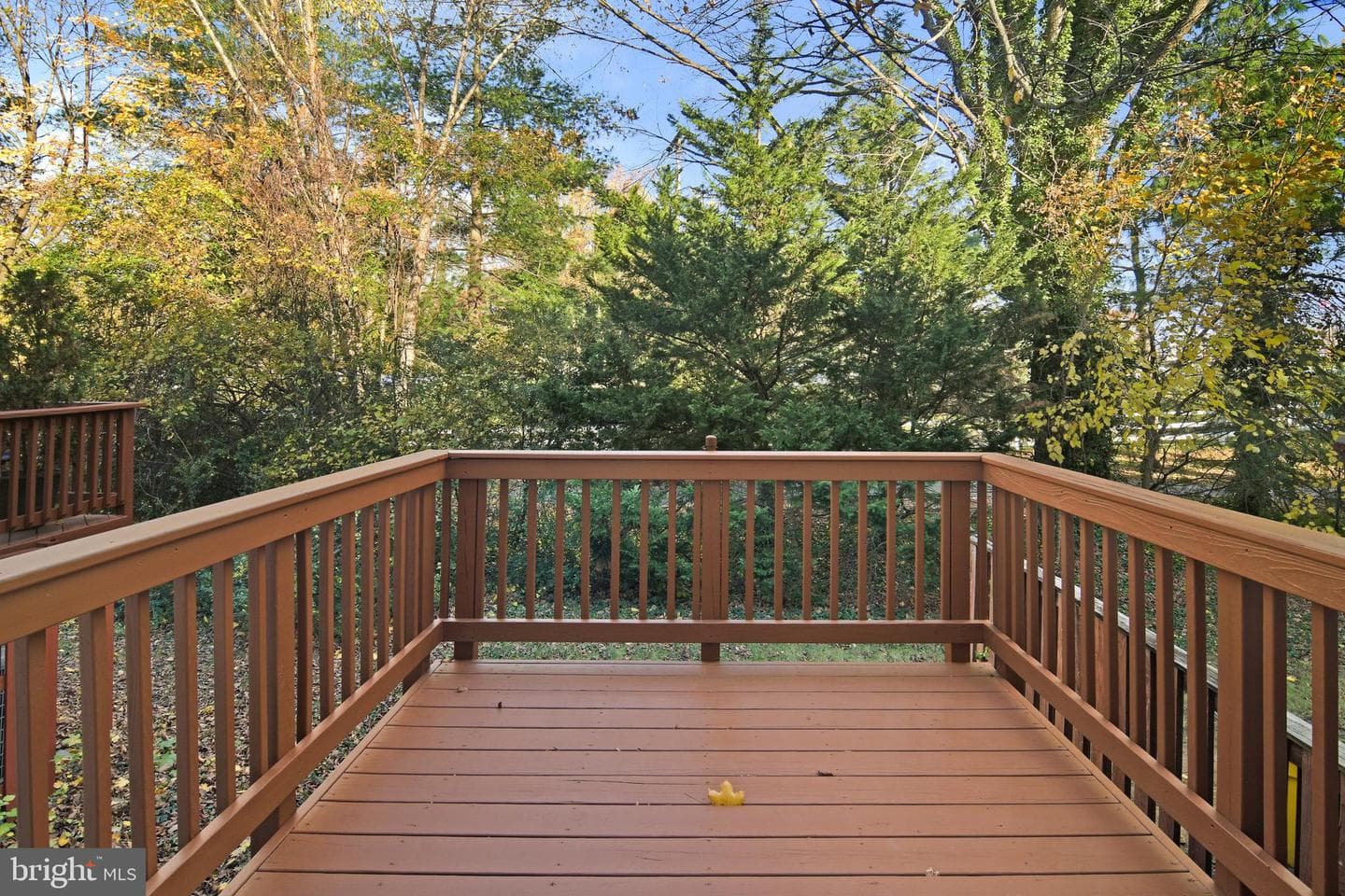 2020 Puritan Terrace photo 9