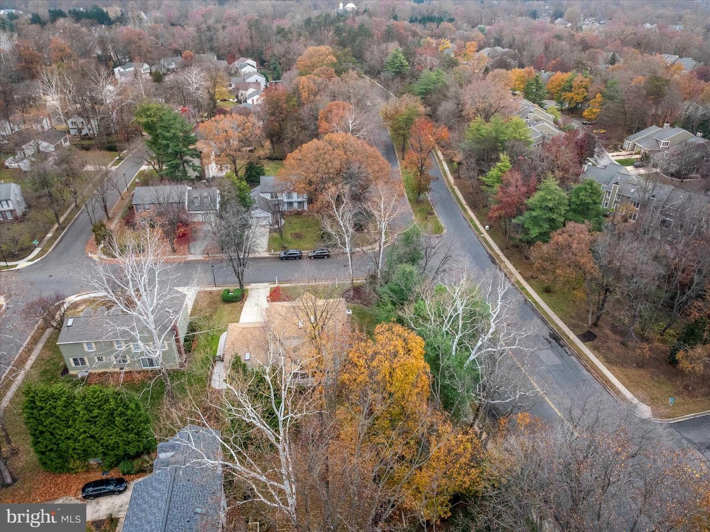 201 Autumn Chase Drive photo 48