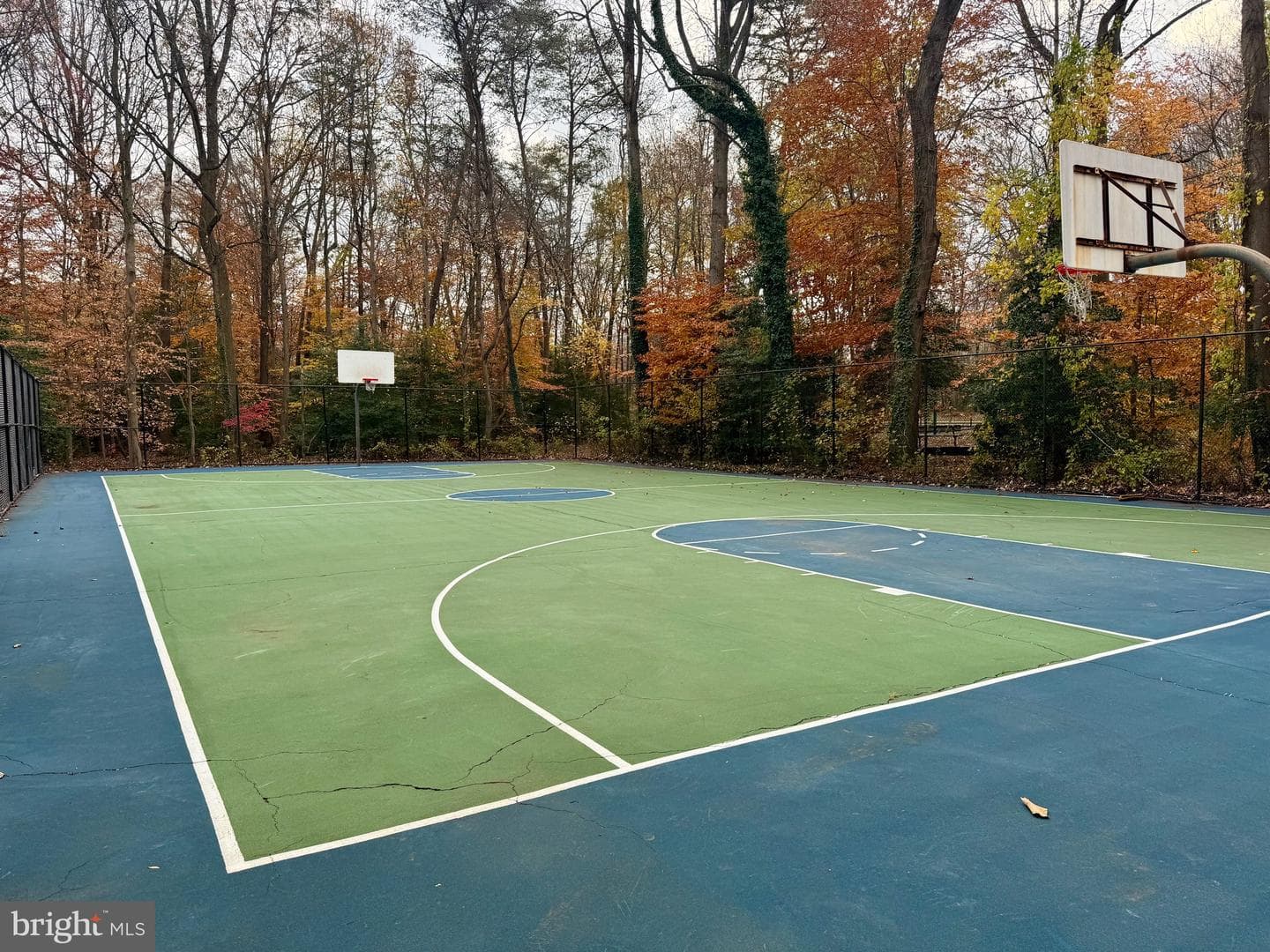 201 Autumn Chase Drive photo 64