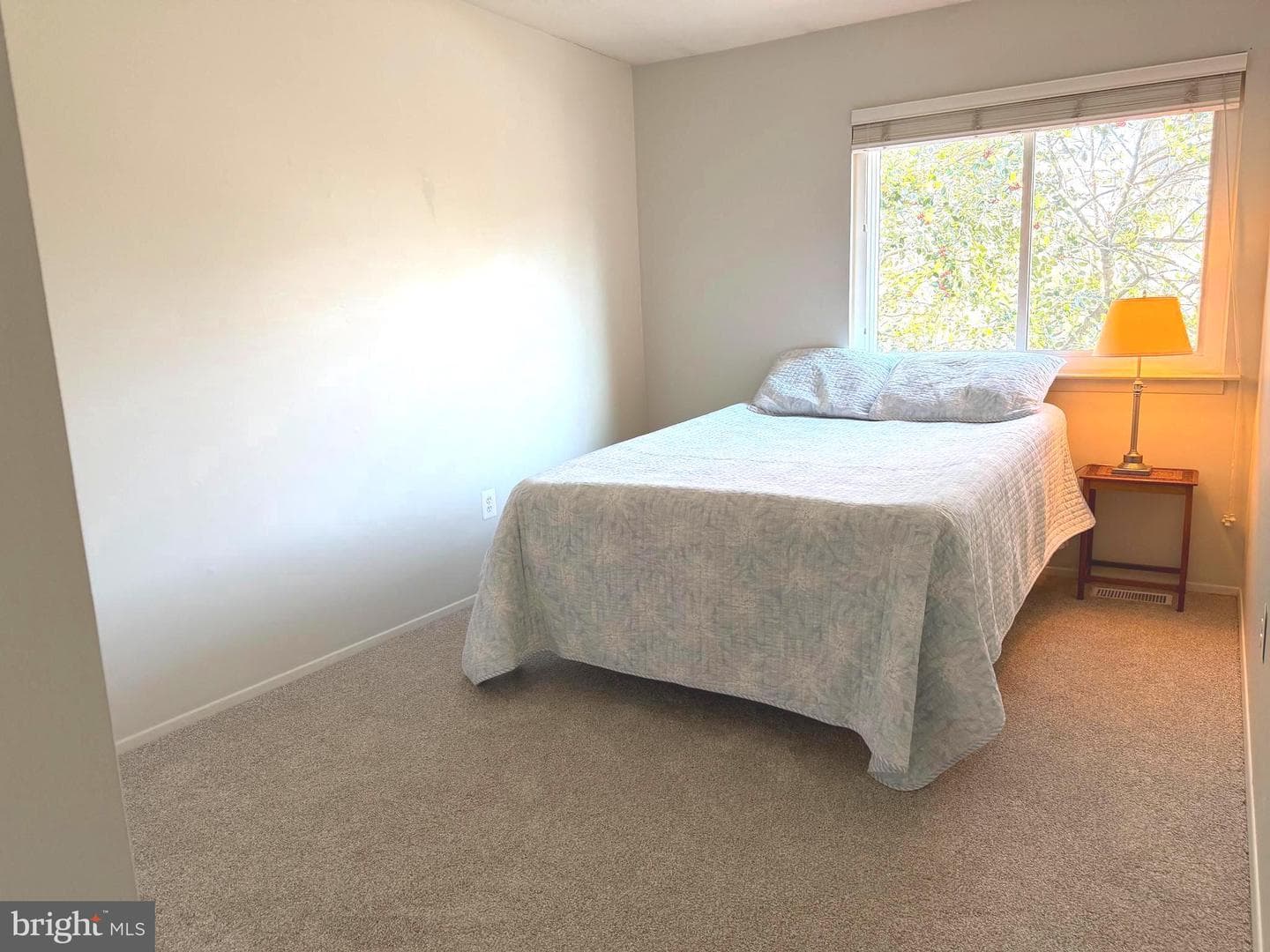 1071 Cedar Ridge Court photo 12