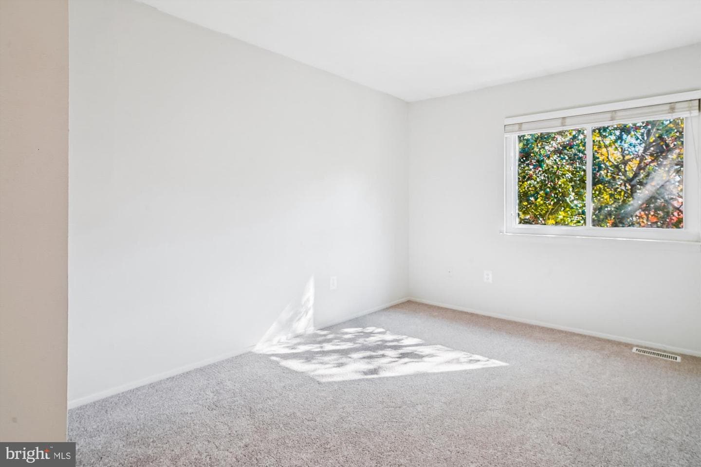 1071 Cedar Ridge Court photo 13
