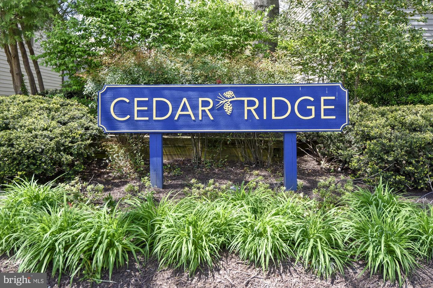 1071 Cedar Ridge Court photo 31