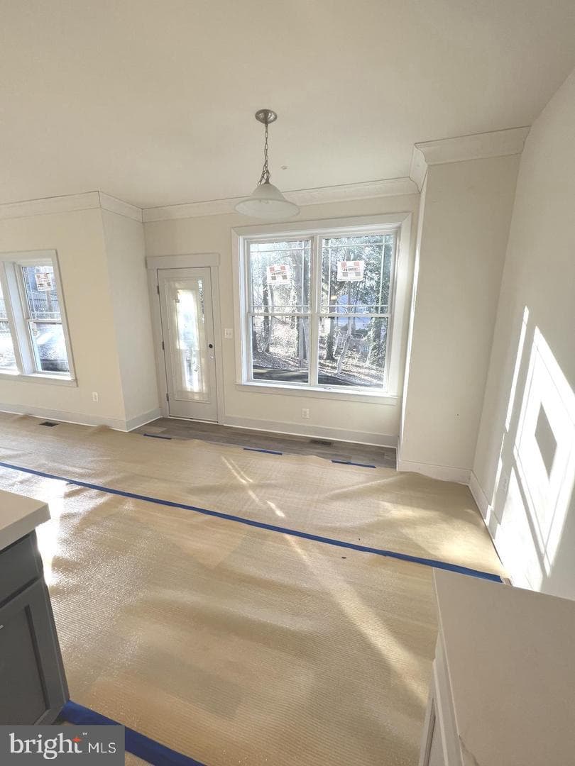 1217 Hampton Road photo 12