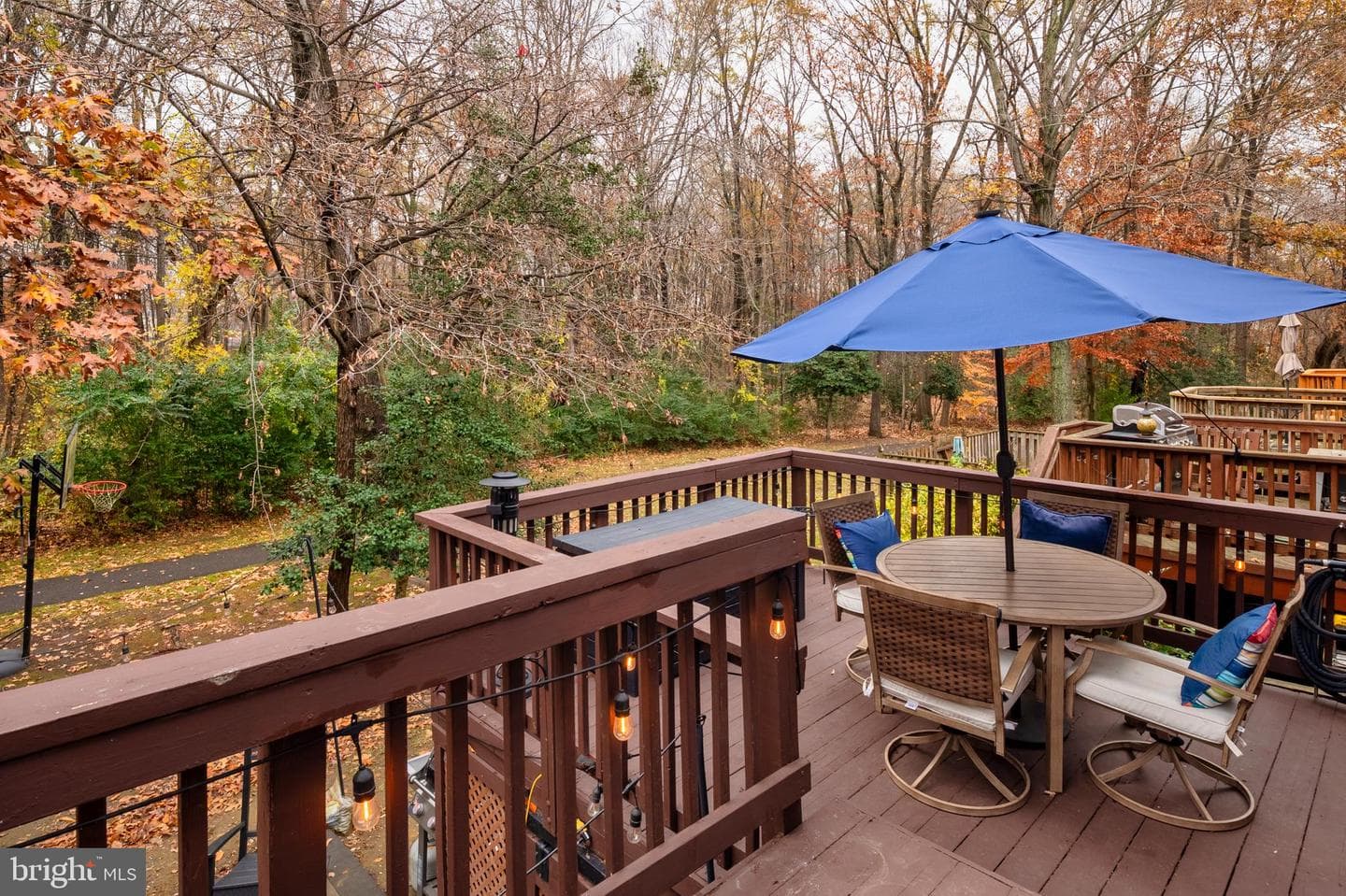 222 Gray Fox Court photo 29