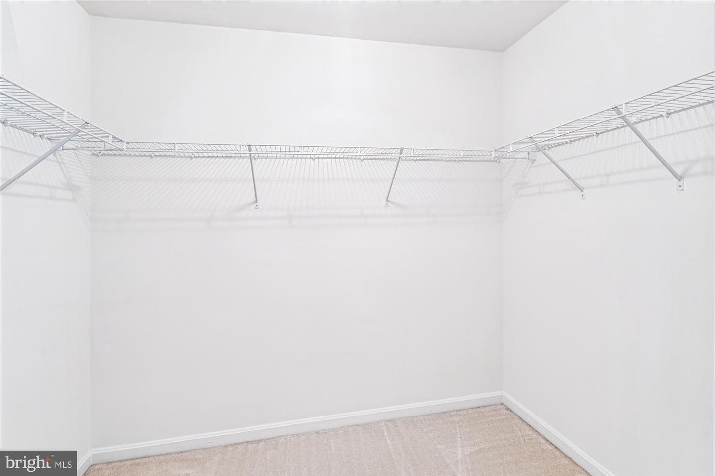 206 Heatherbloom Trail photo 25