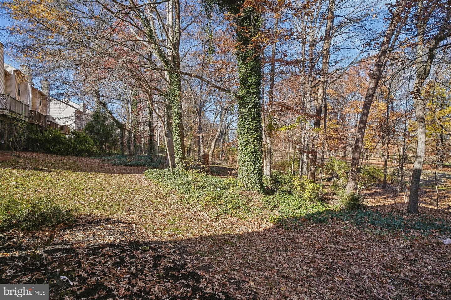 2542 Windy Oak Court photo 36