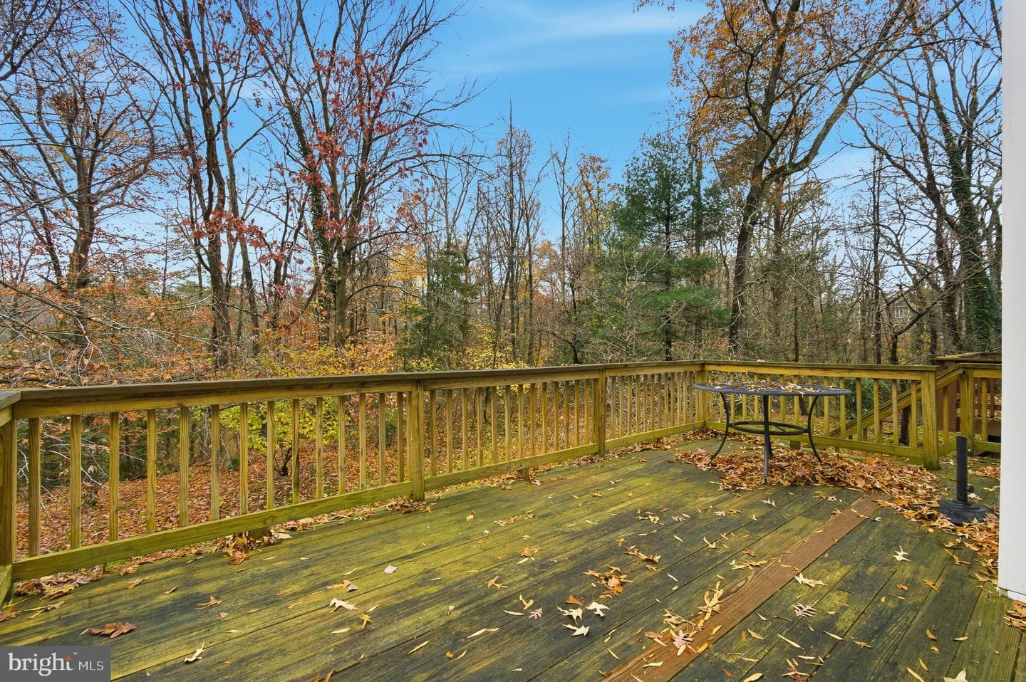 134 Spring Place Way photo 40