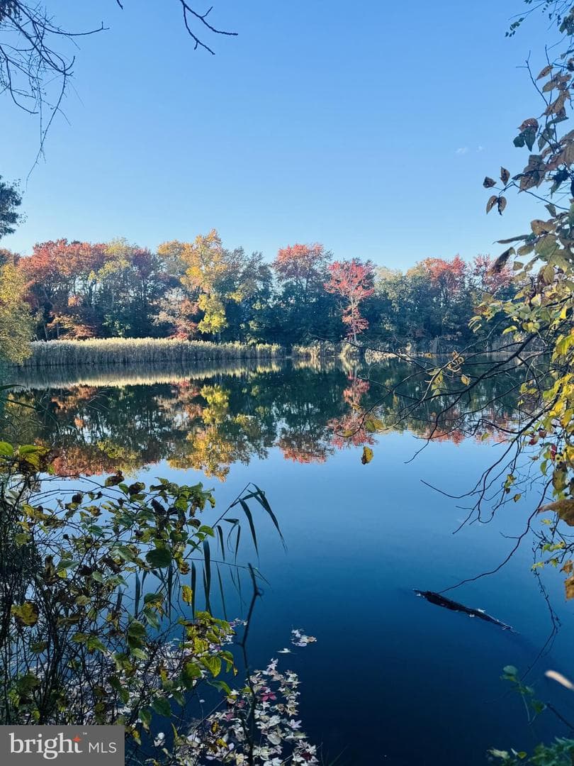 1138 Lake Heron Drive #2a photo 23