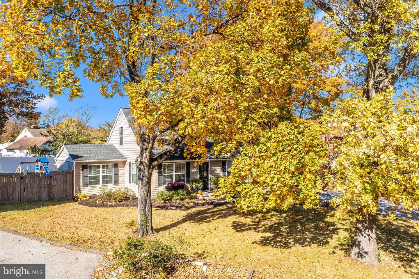 817 Barrett Avenue photo 65