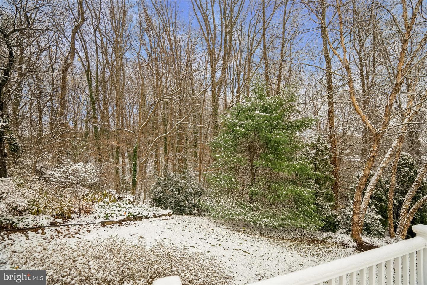 309 Grindstone Drive photo 37