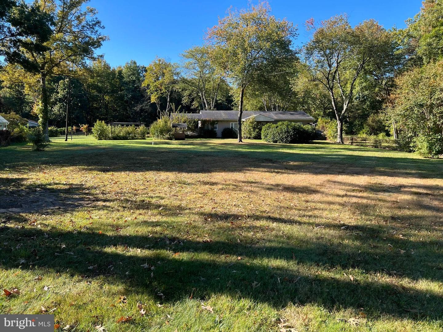 1129 Thompson Avenue photo 3