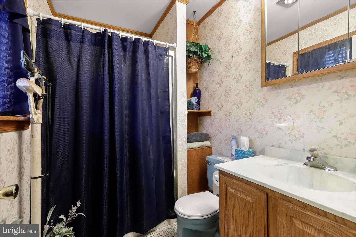 510 Kenora Drive photo 15