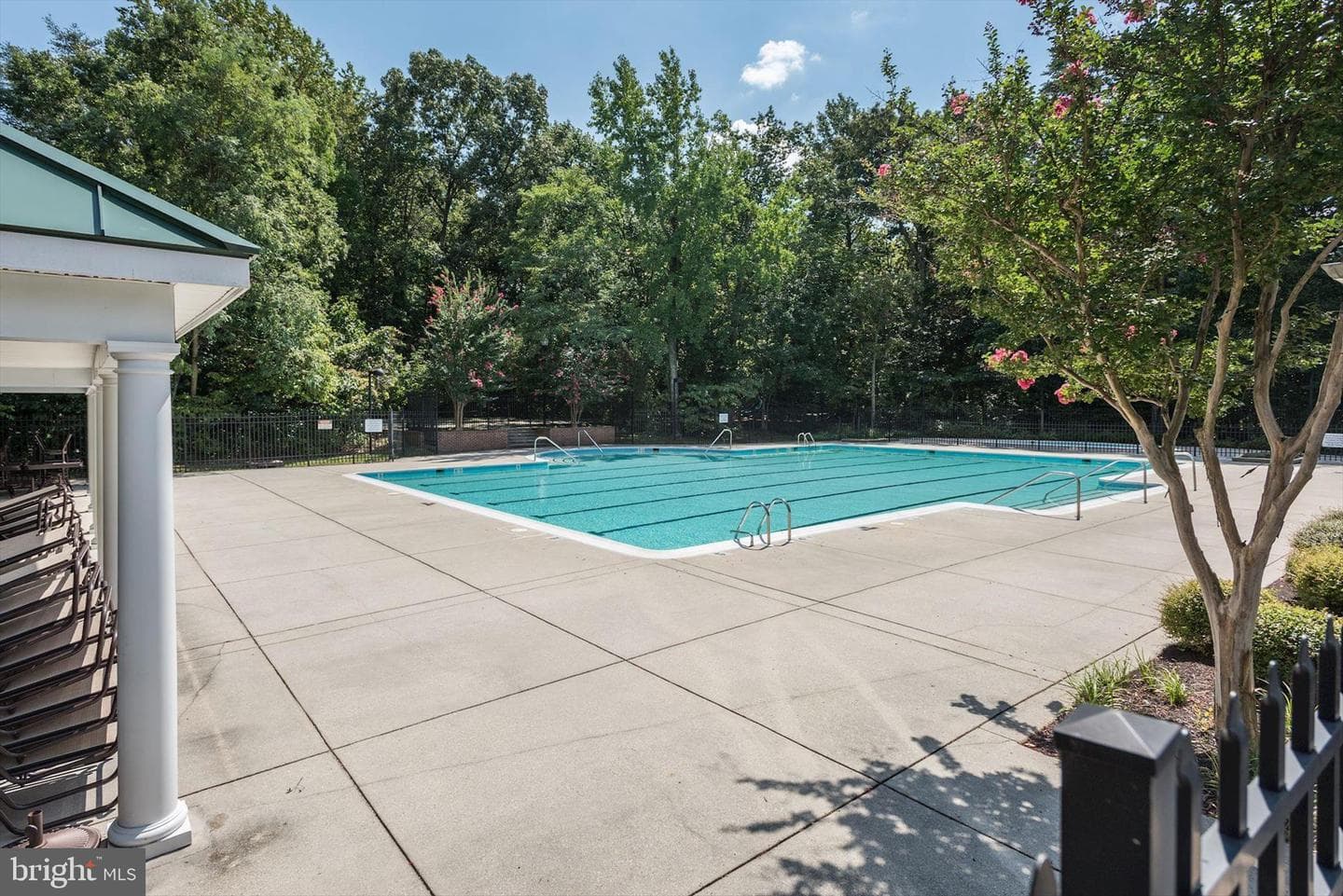 1055 Lily Way photo 49