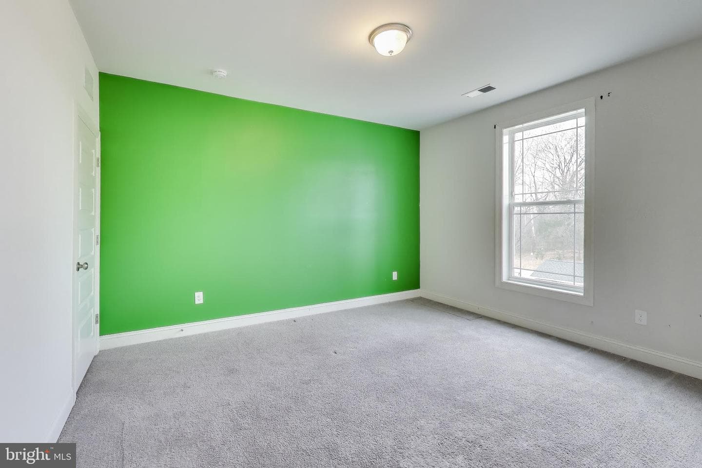 8079 Armiger Drive photo 19