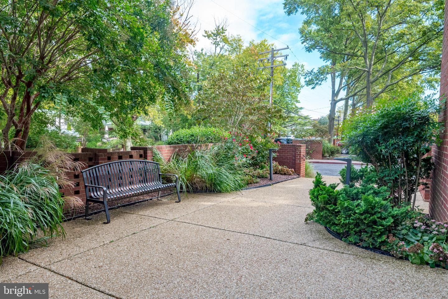 100 Severn Avenue #206 photo 49