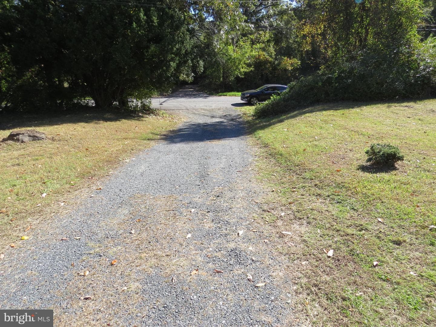 438 Burns Crossing Road photo 16