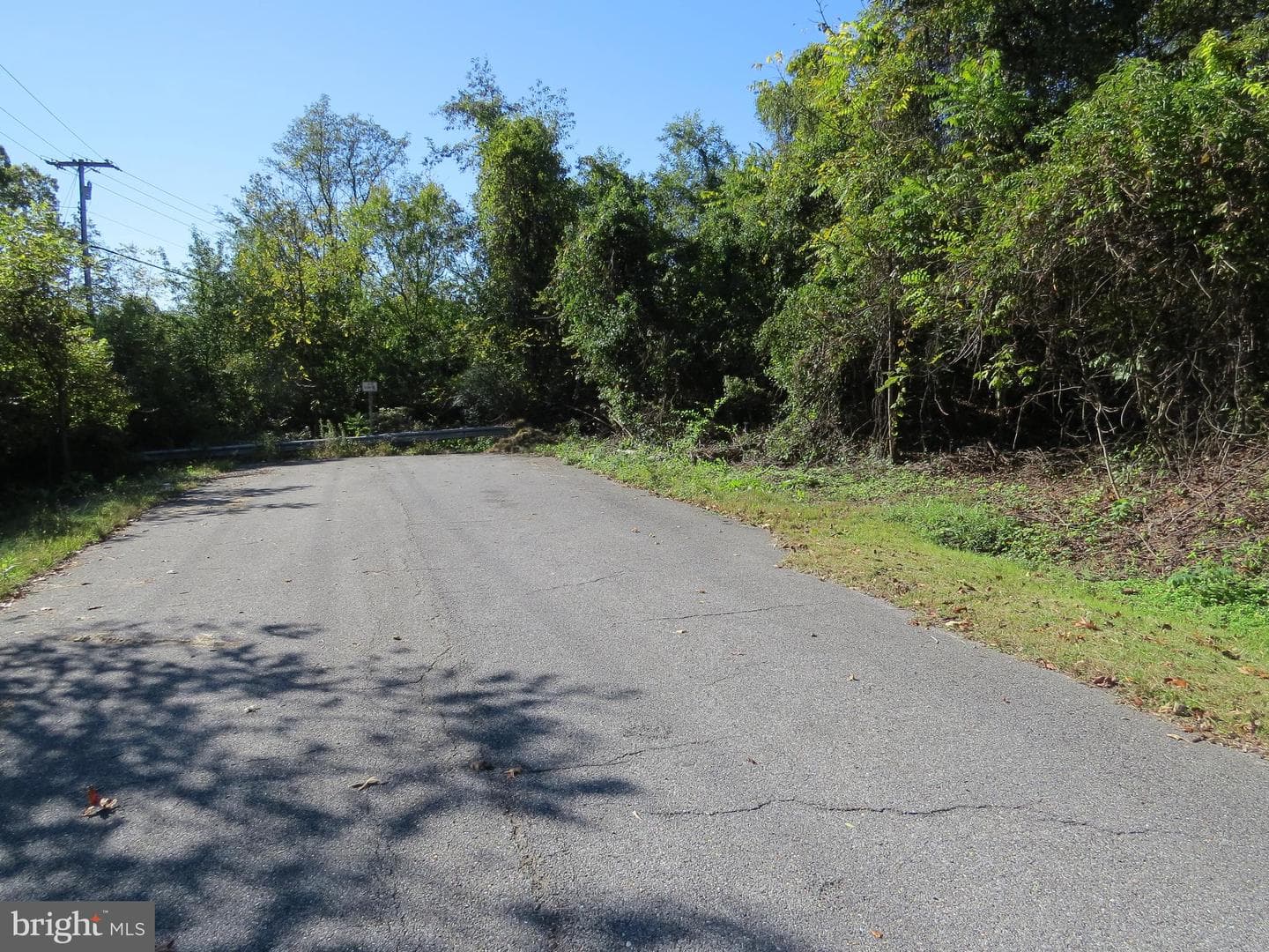 438 Burns Crossing Road photo 19