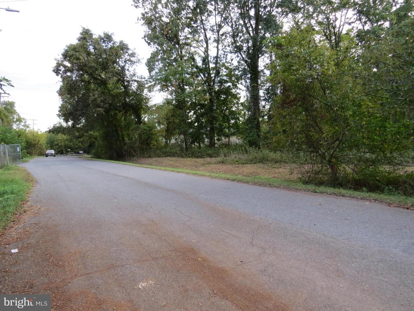 438 Burns Crossing Road photo 9