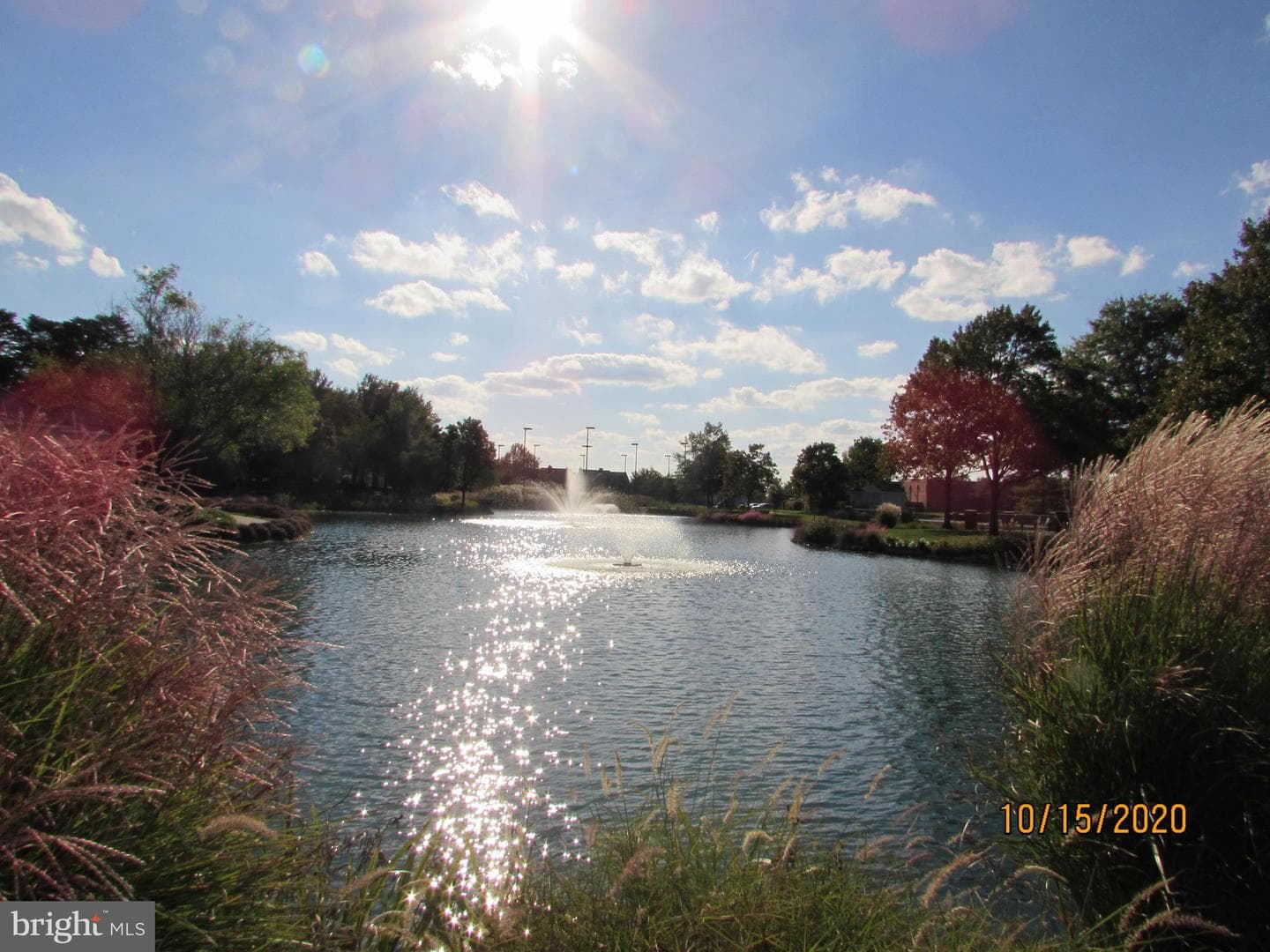687 Winding Stream Way #202 photo 27