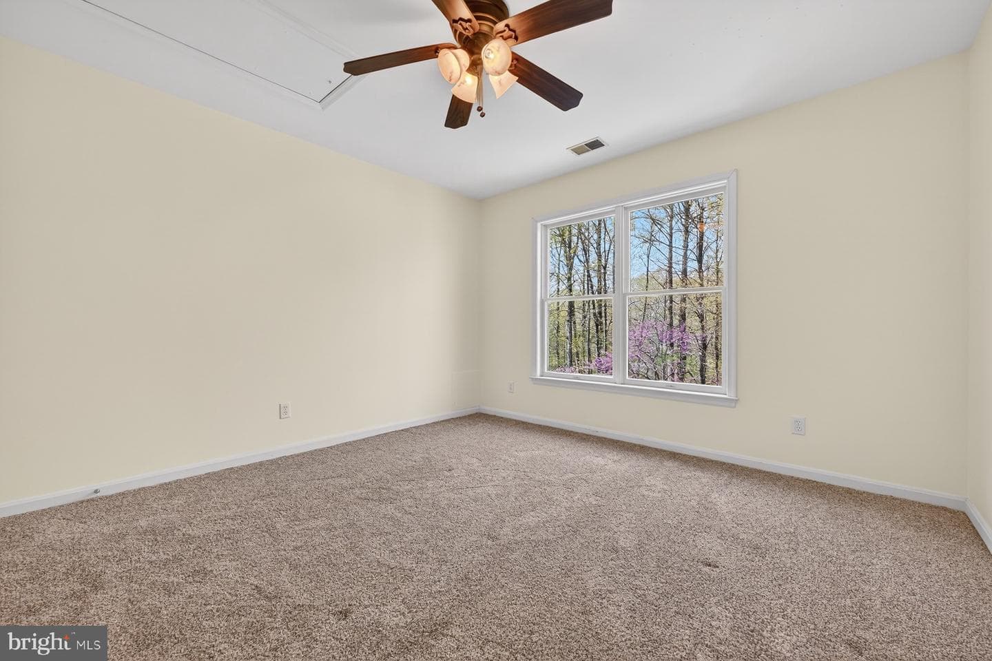 3509 Marthas Vineyard Way photo 87