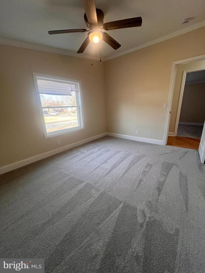 1509 Flanders Lane #l photo 12