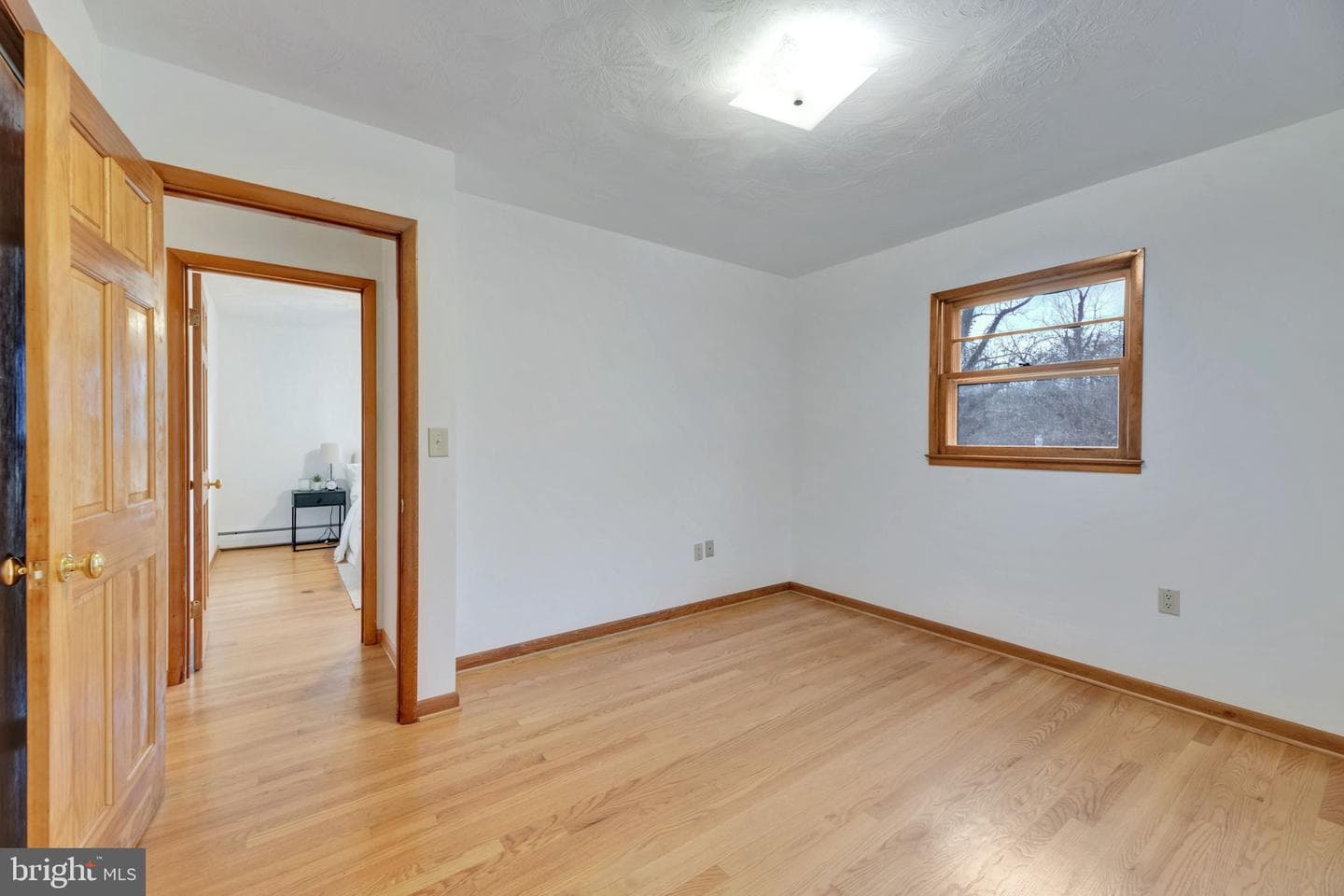 536 Mayo Road photo 15