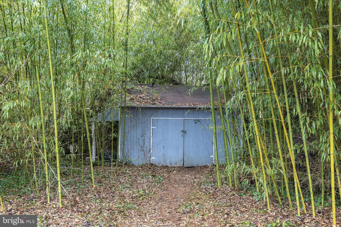 1254 Dogwood Road photo 34