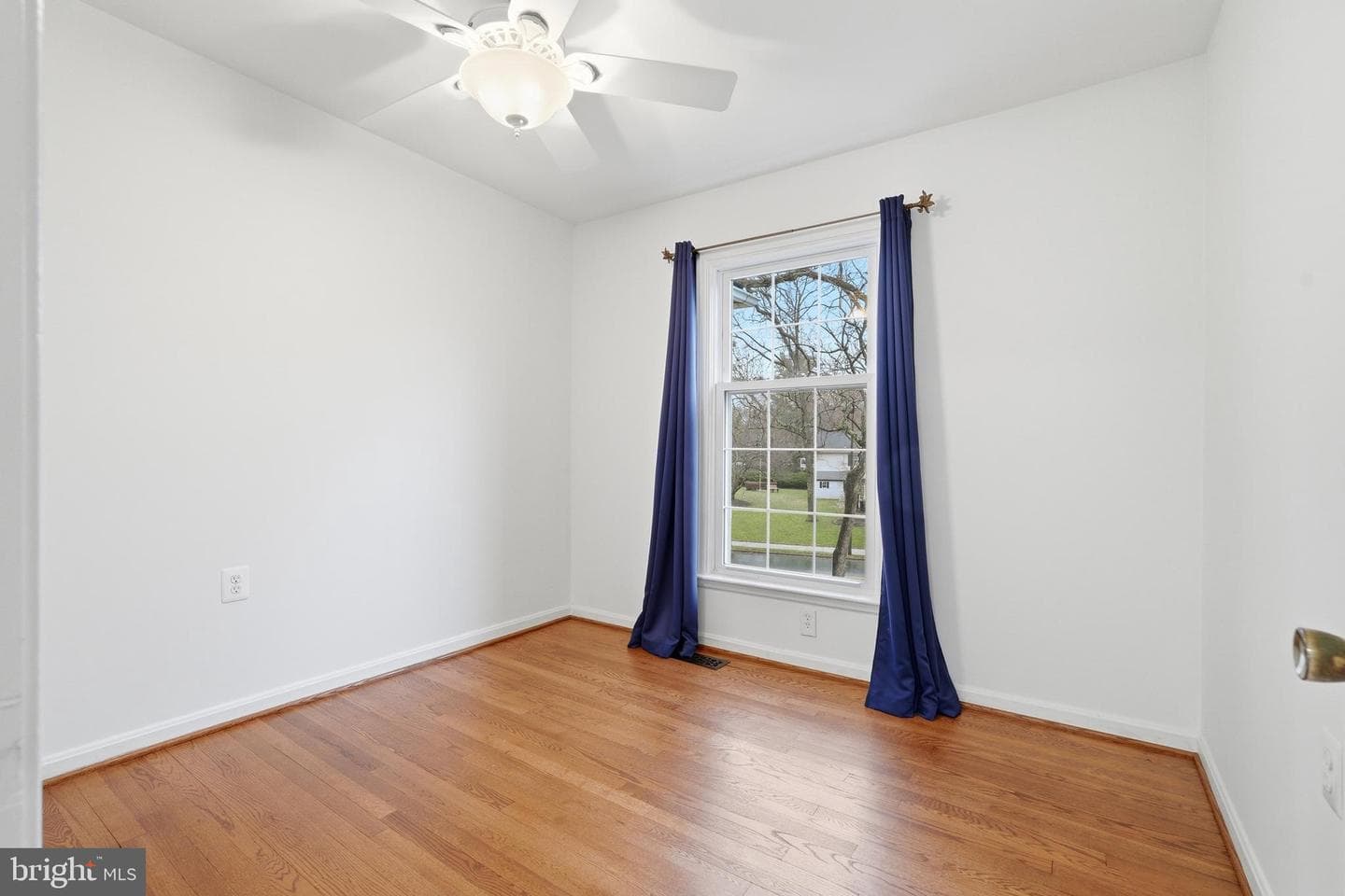 1734 Dana Street photo 24