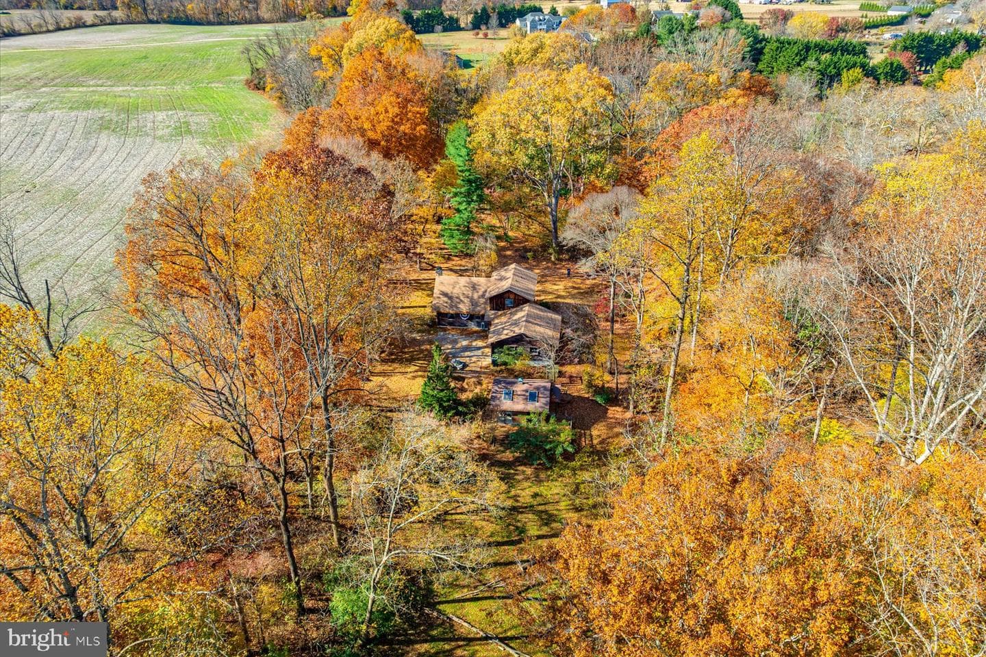 5742 Brooks Woods Road photo 8